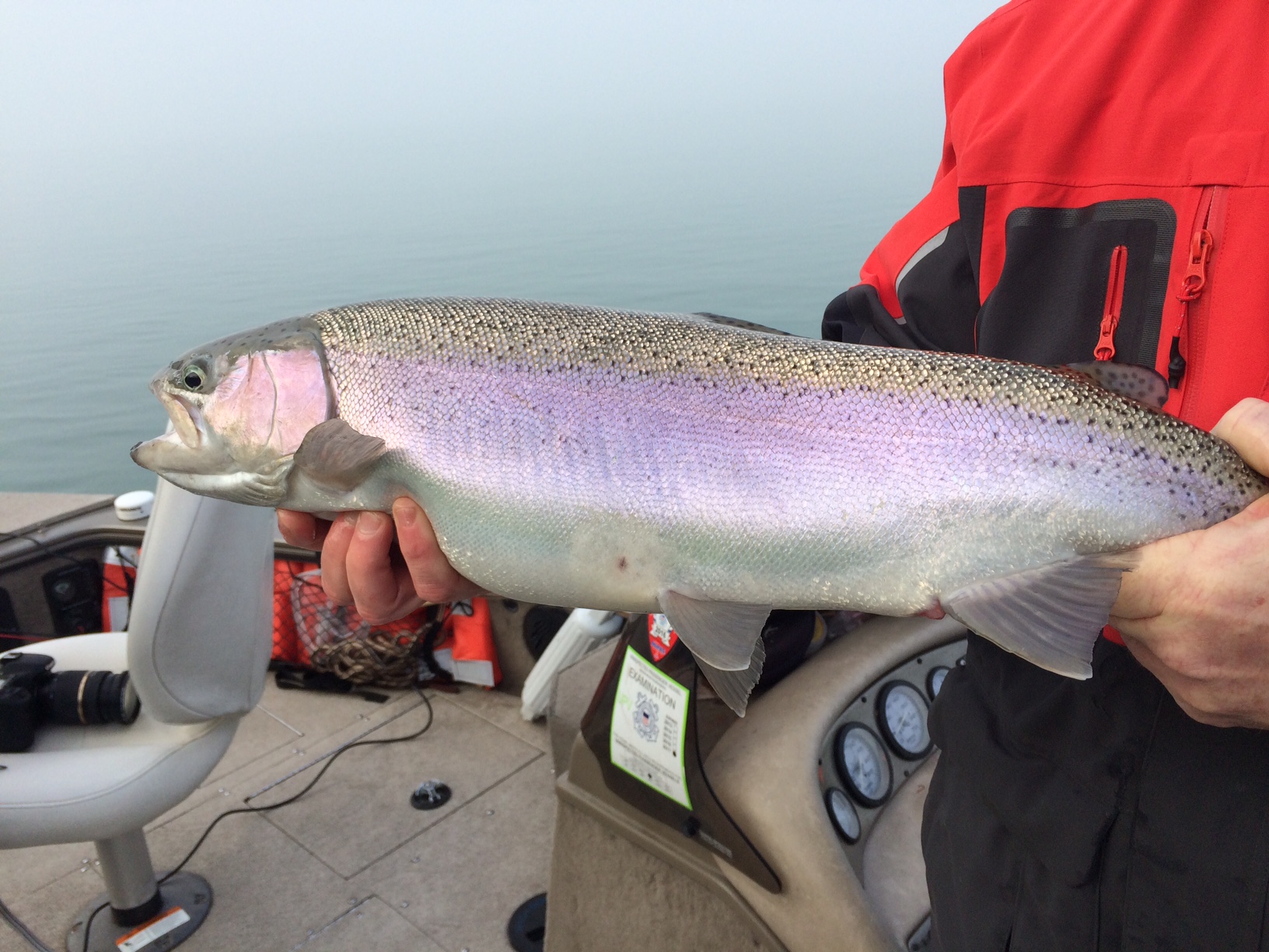 Fishing The Lower Niagara River | wgrz.com